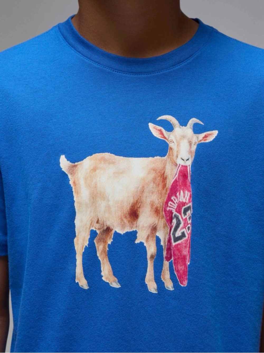 Jordan Flight Goat Print T-Shirt Nike